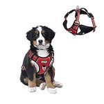 Pattepoint Adjustable Service Dog Vest Harness, Dog Harness Small Breed for Pets, Breathable No Pull Easy Walk Harness for Dogs, Durable Escape Proof Puppy Harness for Small Medium Dogs (Red, S)