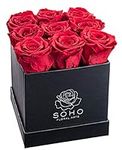 SOHO FLORAL ARTS New Roses Preserve