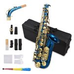 Btuty Brass Sax Engraved Eb E-Flat Alto Saxophone Abalone Shell Buttons Wind Instrument with Case Gloves Cleaning Cloth Belt Brush