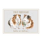 Wrendale Designs Words of Wisdom Greeting Card - True Friendship