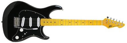 Peavey Raptor Custom Electric Guitar - Black