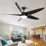 NWIASS 60 Inch Ceiling Fan with Lig