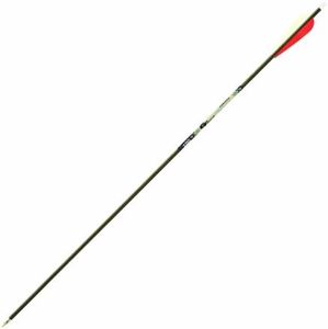 Gold Tip E