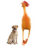 Medium Rubber Chicken Dog Toys Natural Rubber (Latex) Lead-Free Chemical-Free Complies to Same Safety Standards as Children’s Toys Soft Unstuffed Squeaky