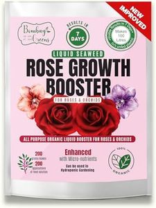 Rose Flowe
