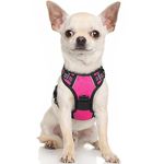 rabbitgoo Dog Harness, No-Pull Pet Harness with 2 Leash Clips, Adjustable Soft Padded Dog Vest, Reflective No-Choke Pet Oxford Vest with Easy Control Handle for Small Dogs,Hot Pink, XS