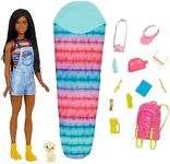 Barbie It Takes Two Doll & Accessor