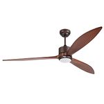 Indoor Ceiling Fan