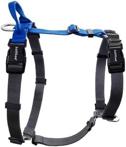 LufeLux Easy Walk Freedom No Pull Dog Harness, Keep Balance Harness for Dogs Blue, Neck-Buckle, Six Points Adjustment for Comfort Fit, 2 D-Rings for Back and Front Clip (Blue/Black, L)