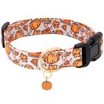 Faygarsle Orange Dog Collar with Pumpkin Leaf Patterns Cute Puppy Collar for Fall Autumn Seasons Dog Collar for Small Medium Large Dogs Stylish Dog Necklace for Male Female Boy Girl Dogs M