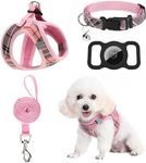 EXPAWLORER Classic Plaid Puppy Harness - Small Dog Collar and Leash - Soft Mesh Padded Adjustable Dog Vest Harness No Pull, Reflective Escape Proof for Outdoor Walking, Pink X-Small