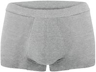 AIRCUTE Washable Absorbent Urinary Incontinence Underwear for Men, Regular Boxer Briefs for Bladder Leaks Prorection, Light or Moderate Leakage 45ML (Large, Gray)