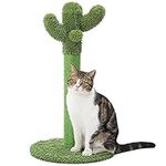 Made4Pets Cat Scratching Post, Cactus Cat Scratcher Kitten Scratch Post Green with Natural Sisal Rope for Indoor Cats Claw, Cat Tree with Dangling Ball Toy for Kitties, Small