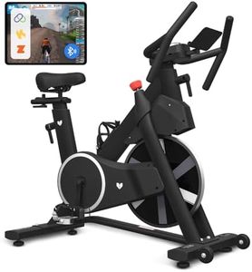Lifespan Fitness SM-420 Spin Bike with Automatic Magnetic Resistance