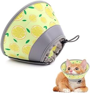 Pawfun Cat