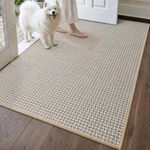 DEXI Door Mat Inside Entrance 36x56