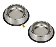 Foodie Puppies Stainless Steel Bowl for Puppies, Kittens, Rabbits, and More - 700ml, Medium (Pack of 2) I Non-Skid Rubber Bottom Food/Water Bowl I Non-Toxic & 100% Safe for Pets