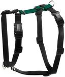 Blue-9 Buckle-Neck Balance Harness, Fully Customizable Fit No-Pull Harness, Ideal for Dog Training and Obedience, Made in The USA, Hunter Green, Large