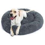 ZEXSAZONE Cozy, Flexible pet Bed is Perfect for Indoor Cats and Puppies for All Weather. (M, Grey)