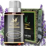 Organic Nilgiris Lavender Essential Oil: Pure Natural Essential Oil Undiluted for Aromatherapy, Skincare, and Relaxation, Hair Nourishment, Scalp Health, Diffuser Bliss, and Air Freshening-(15ml-1p)