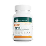 Genestra Brands - HMF Forte - Probiotic Formula - Supports Gastrointestinal Health and the Growth of Beneficial Bacteria - 120 Capsules