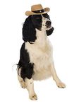 Rubie's Official Pet Dog Costume, Cowboy Hat - Small to Medium Halloween Halloween