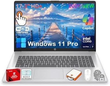 HP 17 inch
