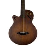 Sawtooth Left-Handed Rudy Sarzo Signature Fretless Acoustic-Electric Bass Guitar