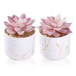 ZENIDA Artificial Plants and Succulents in 2 White Ceramic Pots,Small Fake Plants for Office and Desk Decor,Bathroom, Bedroom,Shelves for Women