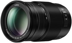 Panasonic LUMIX G Series 100-300mmF