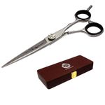 Sizztex Professional Barber Hairdressing Premium Sharp Cutting Scissors 6", in Mirror Polish Finish, 440C Japanese Steel Shears.