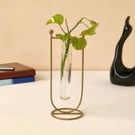 Deco Design Gallery Golden Metal Shape Plant Holder with Glass Test Tube | Living Room Home Decor | Hydroponic Planter for Table Decor (U Shape)