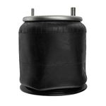 World American WA01-9394C Air Spring (REVERSIBLE SLEEVE)