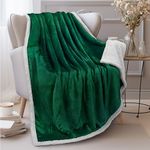 PAVILIA Plush Sherpa Fleece Throw Blanket Emerald Green | Soft, Warm, Fuzzy Dark Forest Throw for Couch Sofa | Solid Reversible Cozy Microfiber Fluffy Blanket, 50x60