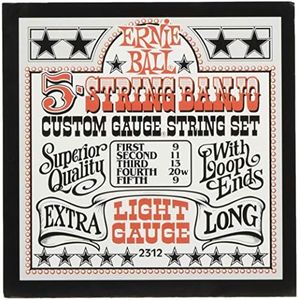 Ernie Ball 5-String Light Stainless Steel Banjo Strings, 9-9 Gauge (P02312)