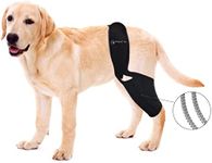 BaoGuai Knee Brace for Dogs ACL wit