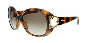 Salvatore Ferragamo Women's Sunglasses Sf668s, Brown, 57