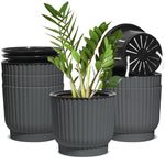 T4U 6 Inch Self Watering Pots 6 Pack, Plastic Plant Pots with Holder, Windowsill Flowers Pots for All Indoor Outdoor Plants, African Violets (Grey)