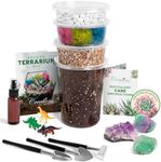Creations by Nathalie DIY Terrarium Starter Kit - Includes Soil, Moss, Pebbles, Healing Crystal, Tools, Terrarium Supplies, DIY Terrarium Kit for Adults & Kids - Handcrafted in USA
