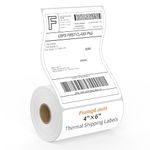 FungLam 4X6 Thermal Shipping Labels, White Mailing Postage Direct Shipping Labels, Perforated, 1 Rolls,250 Labels,Compatible with JADENS, iDPRT,Munbyn and Rollo Printers