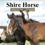 Shire Horse - The gentle giant 2016: The world's greatest horses