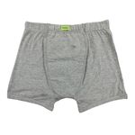 Pristine Life | Mens Trunks | 3-Layer Hygienic Absorbent | Leakproof Crotch | Antimicrobial & Quick-Dry | Super Absorbent | Leakproof & Non-Plastic | Pack of 1 | Grey | 6XL