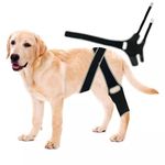 Dog ACL Knee Brace, Dog Braces for Back Leg for Support, Dog Knee Brace for Torn ACL Hind Leg & Front Leg, Dog Hip Support Brace for Joint Pain Muscle Sore, Hip Dysplasia, Luxating Patella (Large)