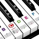 Piano Stickers for Beginners 88/76/