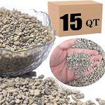 Horticultural Pumice for Plants Professional Sifted - for Succulents, Cactus, Bonsai Plants (1/4 inch, 14L)