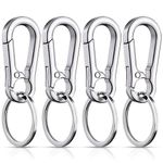 Redamancy 4 Packs Metal Keychain Carabiner, Keychain, Carabiner Clip Keyring, Key Chain, Keyring Key Ring Chain Clips Hook Holder for Men Women