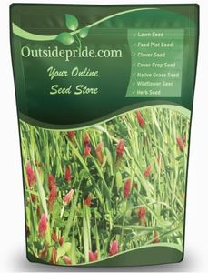 Outsidepride Gardenway Cover Crop Seeds - 50 lbs Fast Growing, Easy to Establish, Nutrient-Rich Mix for Soil Health & Home Gardens - Mixture of Triticale, Peas, Vetch, Annual Ryegrass, Crimson Clover