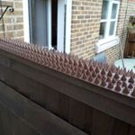 Good Selections Fence And Wall Spikes 5 Metre Pack (brown)