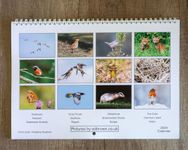 2024 Calendar A3 British Wildlife Photography Wall Hanging Month to View