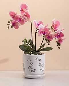 Fayoula Orchid Pot, 6.5 inch Large Orchid Pots with Holes for Healthy Growth and Easy Repotting, Premium Ceramic Orchid Planter for Indoor and Outdoor Use, (Note : Plant Not Included)